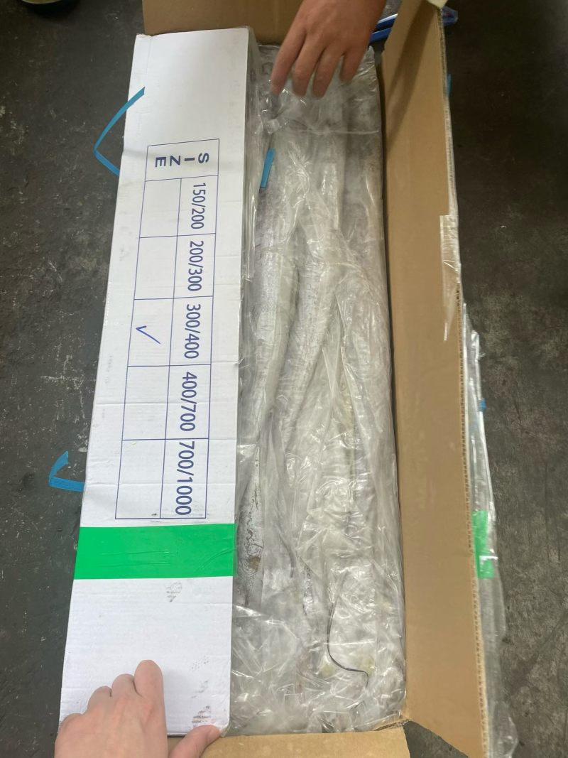 印度带鱼新鲜上市冷冻肉质鲜美量大优惠欢迎来电咨询