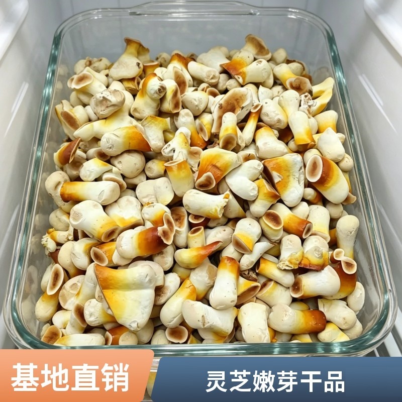 批发灵芝修剪下脚料边角碎料饲料药厂投料提取杂质少