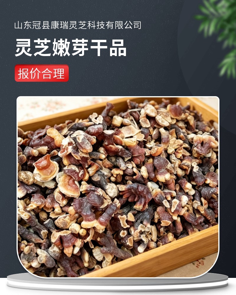 批发灵芝修剪下脚料边角碎料饲料药厂投料提取杂质少
