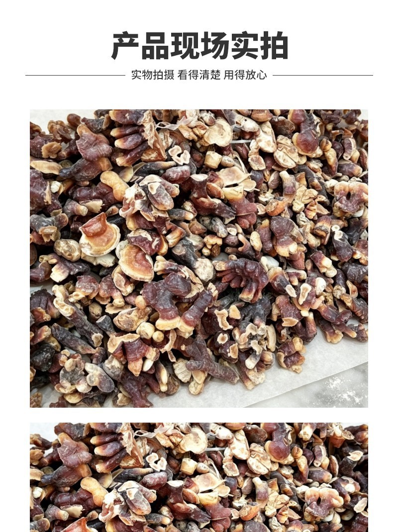 批发灵芝修剪下脚料边角碎料饲料药厂投料提取杂质少