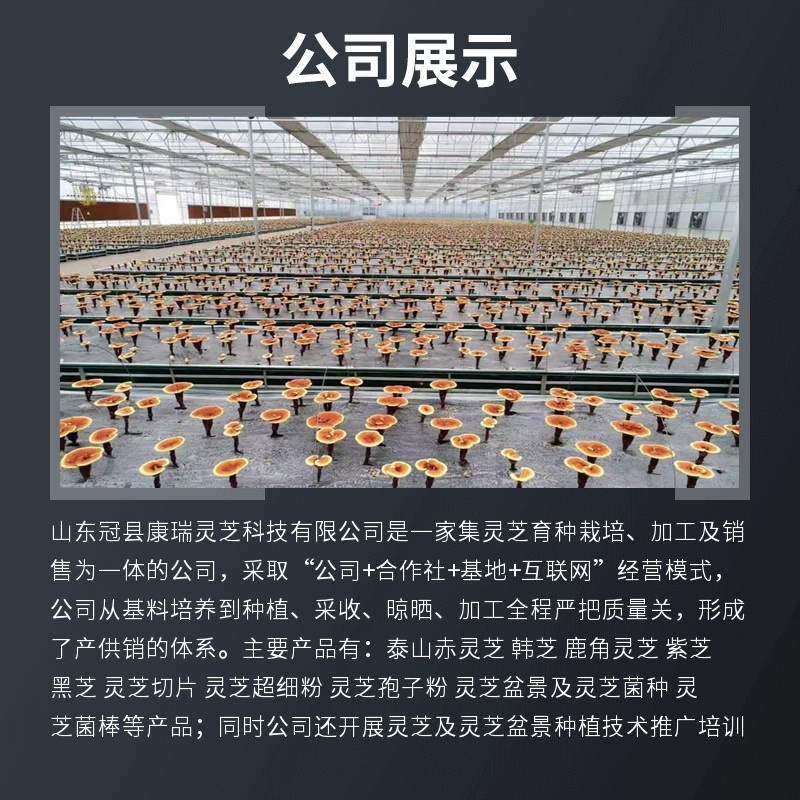 批发灵芝修剪下脚料边角碎料饲料药厂投料提取杂质少