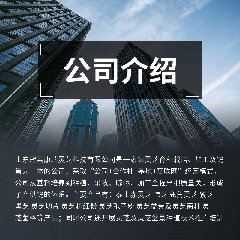 批发鹿角灵芝切片灵芝草切片赤灵芝片可泡茶泡酒