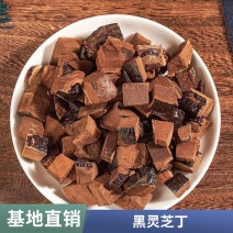 批发黑灵芝切丁黑芝颗粒不苦灵芝块灵芝粒灵芝袋泡茶