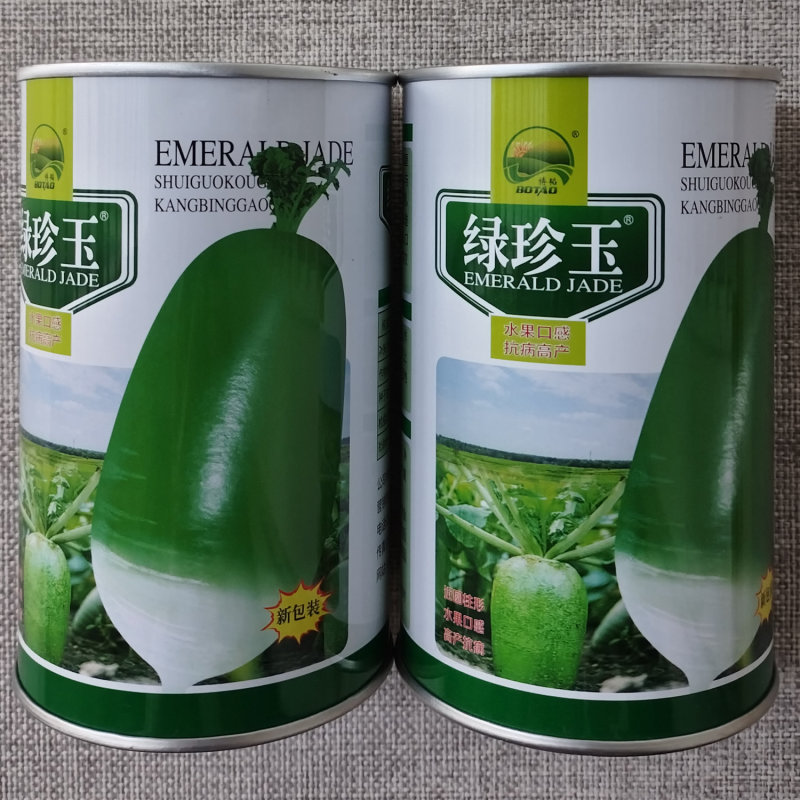 绿珍玉大青萝卜种子皮色亮绿高产甜脆水果萝卜种籽适合规模播
