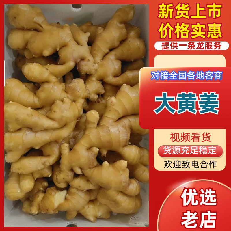 《实力》山东大黄姜/常年供应（姜巴/水洗姜/风干姜）全国发货
