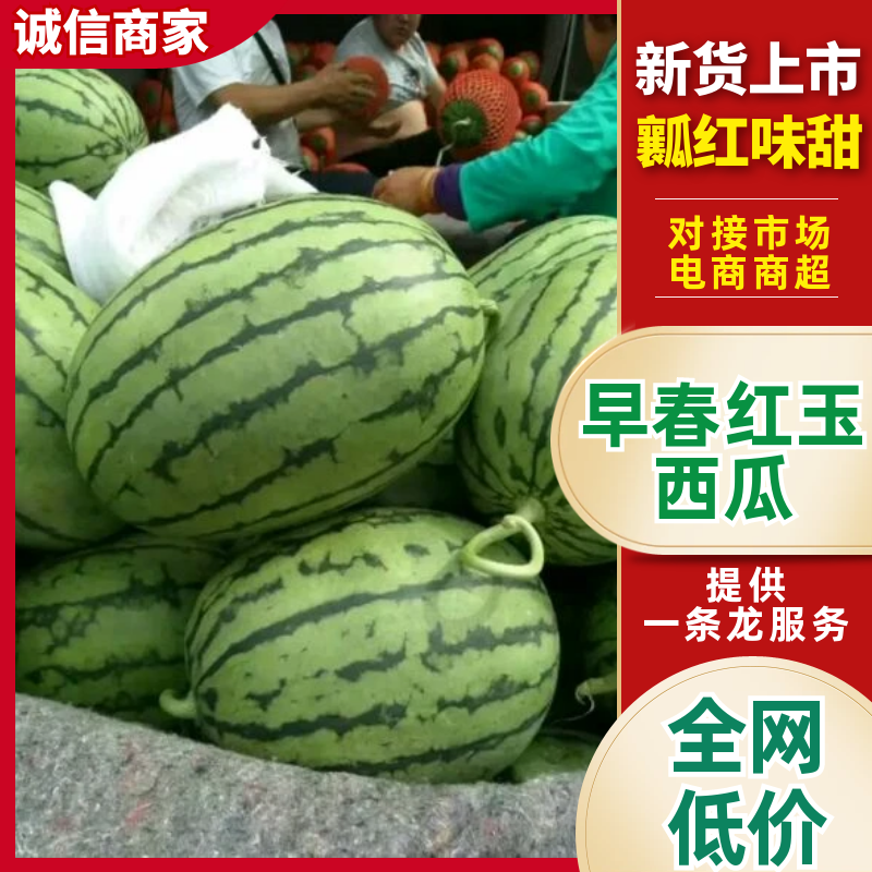 早春红玉，2K小吊瓜冰激淋西瓜牛奶吊瓜产地现货