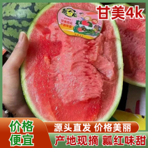 陕西甘美4K西瓜产地直发货源充足诚信经营欢迎咨询