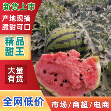 精品陕西甜王西瓜产地供应量大从优质量保证欢迎咨询