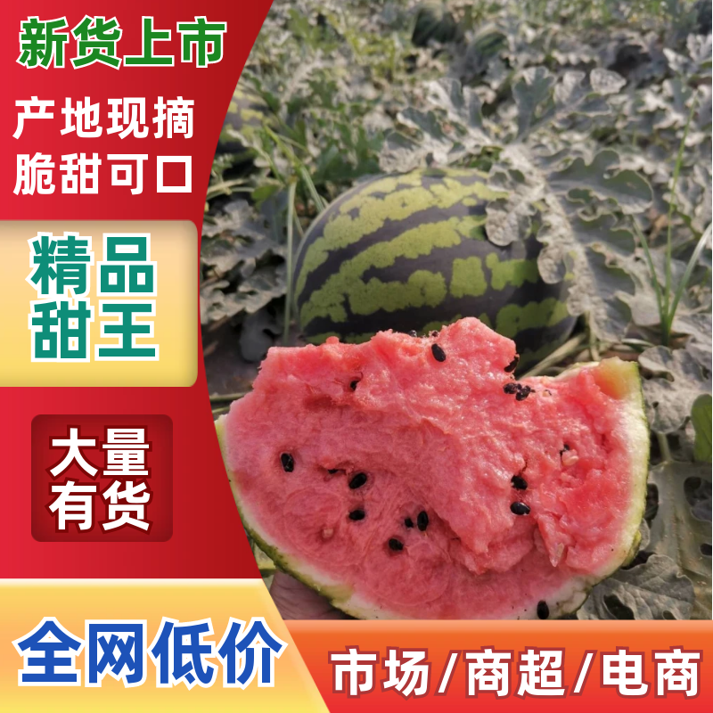 精品陕西甜王西瓜产地供应量大从优质量保证欢迎咨询