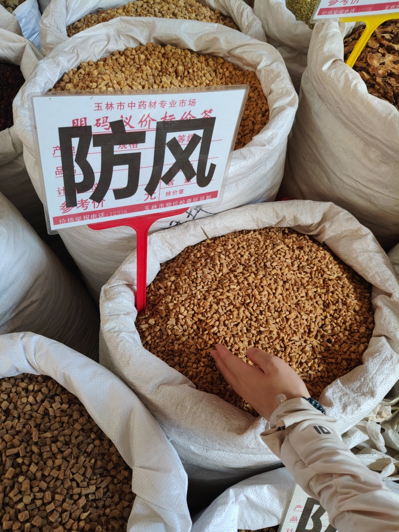 防风大货价14元/斤