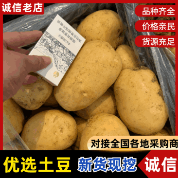 【黄心土豆】黄心土豆大量供应大量供应对接超市电商批发市场