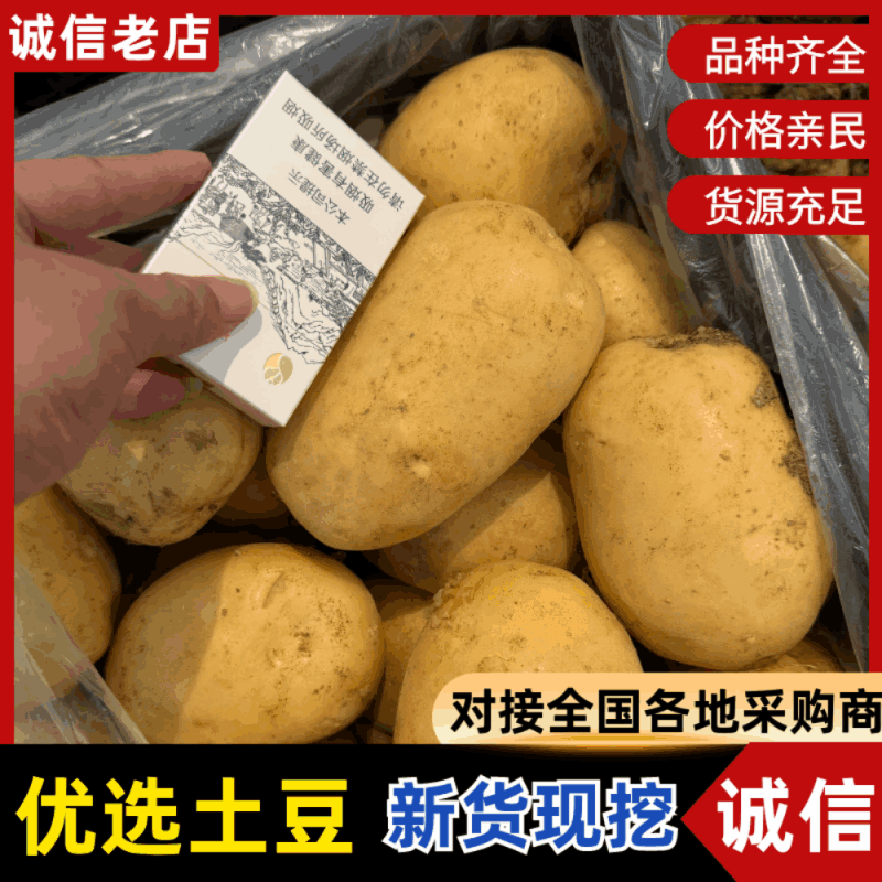 【黄心土豆】黄心土豆大量供应大量供应对接超市电商批发市场