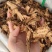 羌活大货价100元/斤