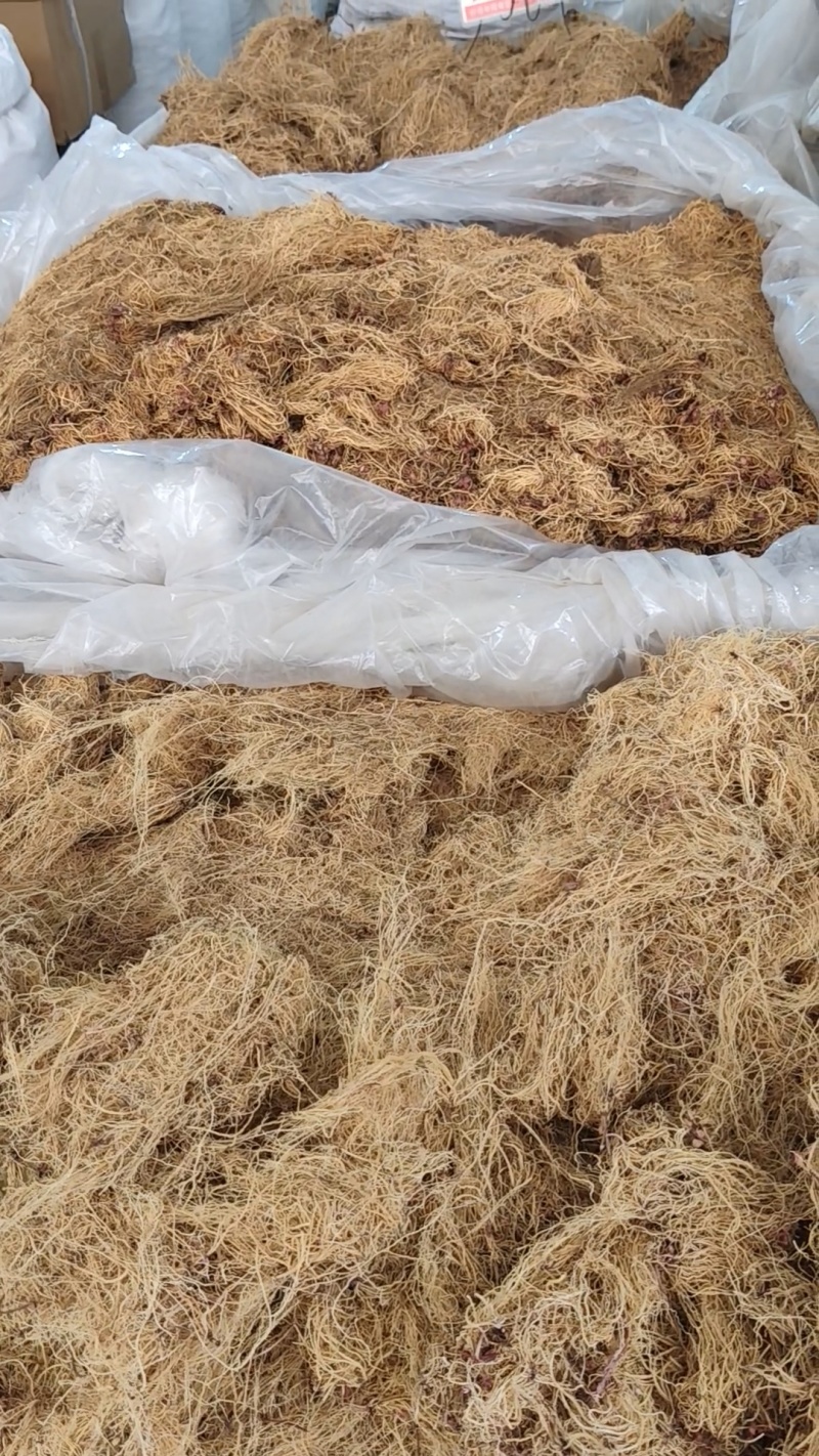 细辛大货价165元/斤