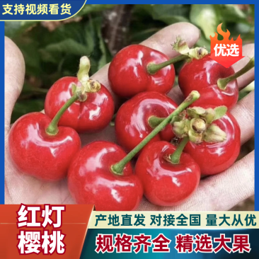 【实力】樱桃红灯樱桃-对接电商各大平台可视频看货