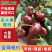 【早大果樱桃】齐早，早大果樱桃/对接各大电商社区团购