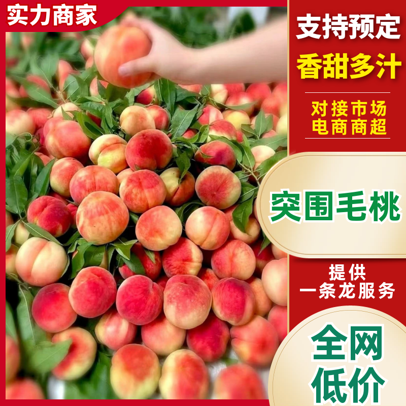 【推荐】突围桃安徽砀山毛桃大量供应中口感脆甜