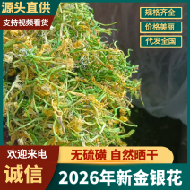 2026新金银花上市了大量从优，质量保证欢迎订购
