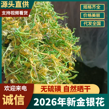2026新金银花上市了大量从优，质量保证欢迎订购