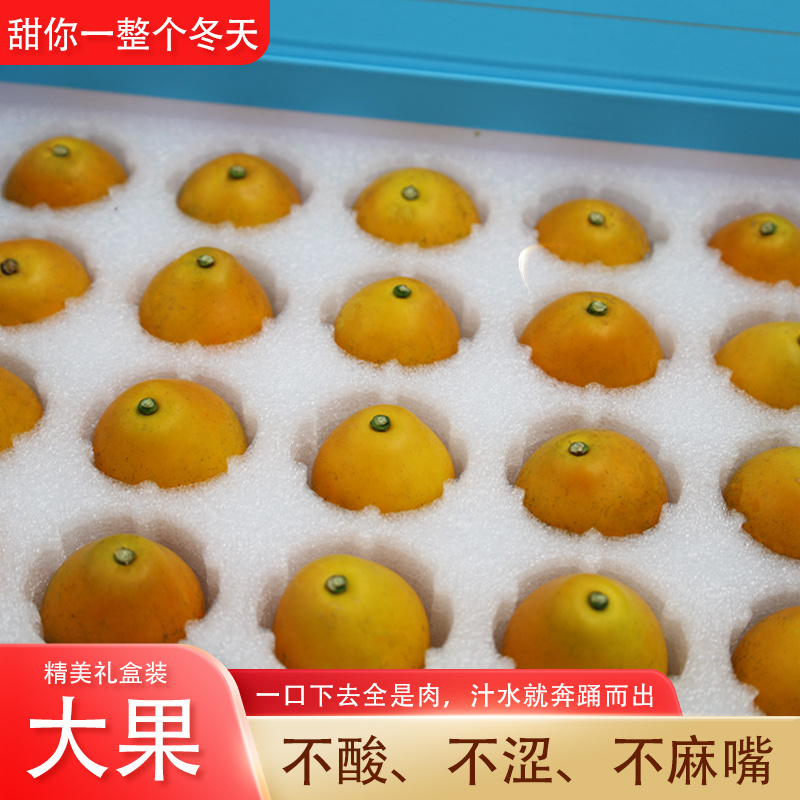 脆蜜金桔，保质保量，量大价优，欢迎各位老板随时联系我
