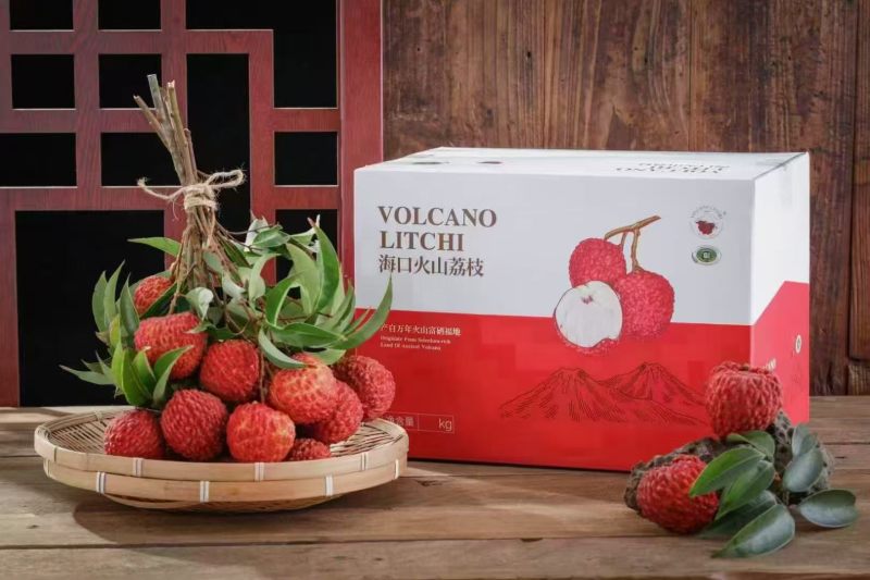 海南海口市荔枝火山岩荔枝王/可走一件代发/货源稳定