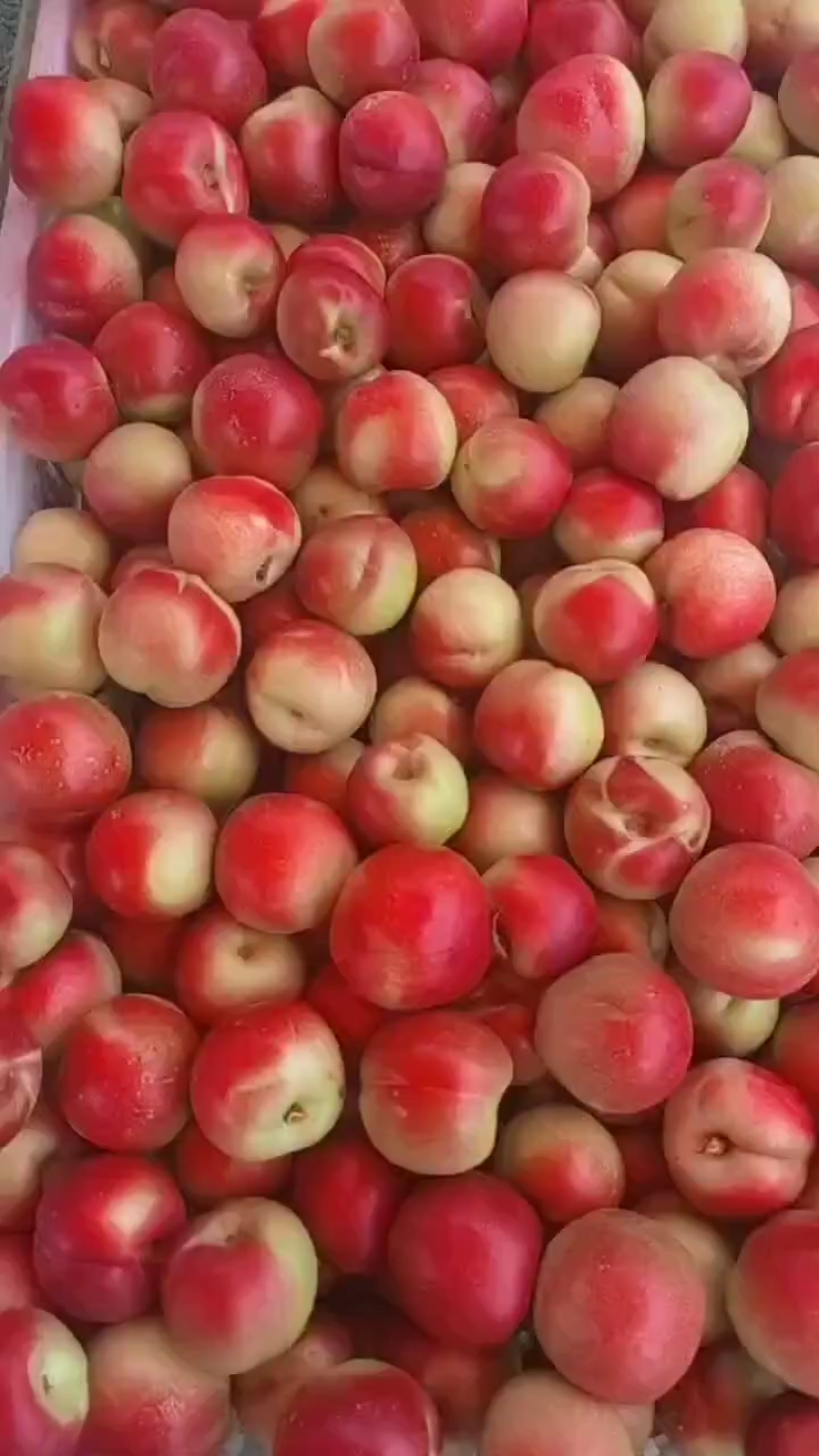 【珍珠枣油桃】枣油桃陕西精品油桃大量上市质量保障