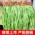 贡菜干30g/包100/包一件代发
