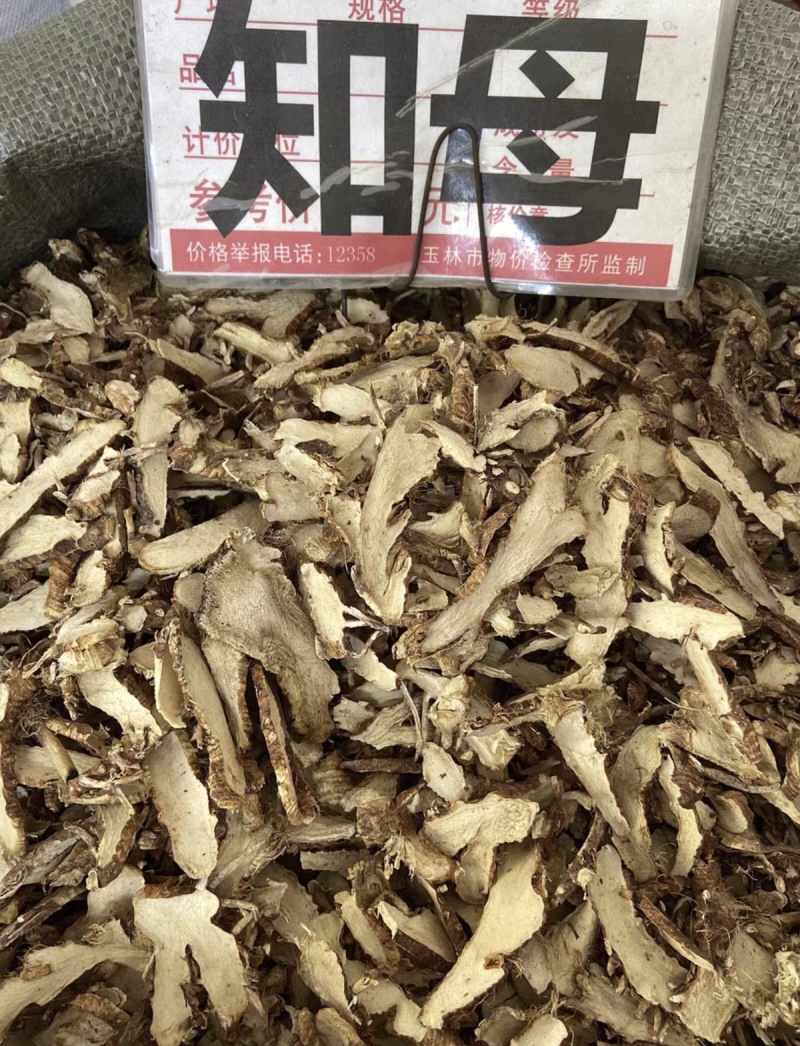 知母大货价5.5元/斤