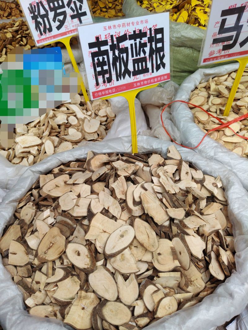南板蓝根大货价2.5元/斤