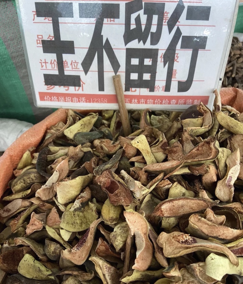王不留行大货价12.5元/斤