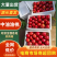湖北油桃基地直发品质保证诚信经营欢迎来电