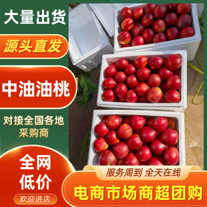湖北油桃基地直发品质保证诚信经营欢迎来电