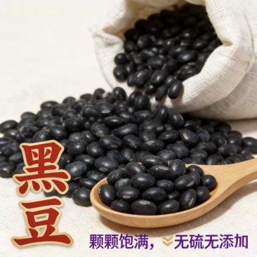 五谷杂粮五黑原料黑豆黑米黑芝麻桑葚干货批发