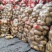 河南土豆的精品黄心土豆对接电商市场商超可视频看货