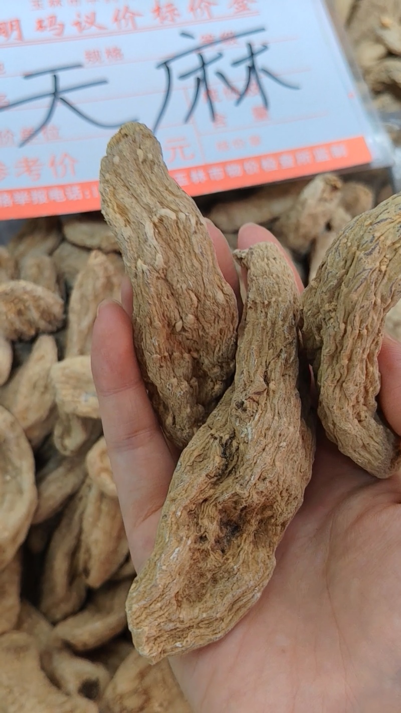 天麻大货价110元/斤