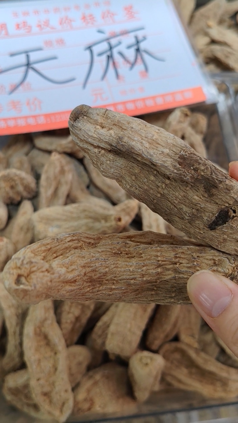 天麻大货价110元/斤