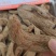 天麻大货价110元/斤