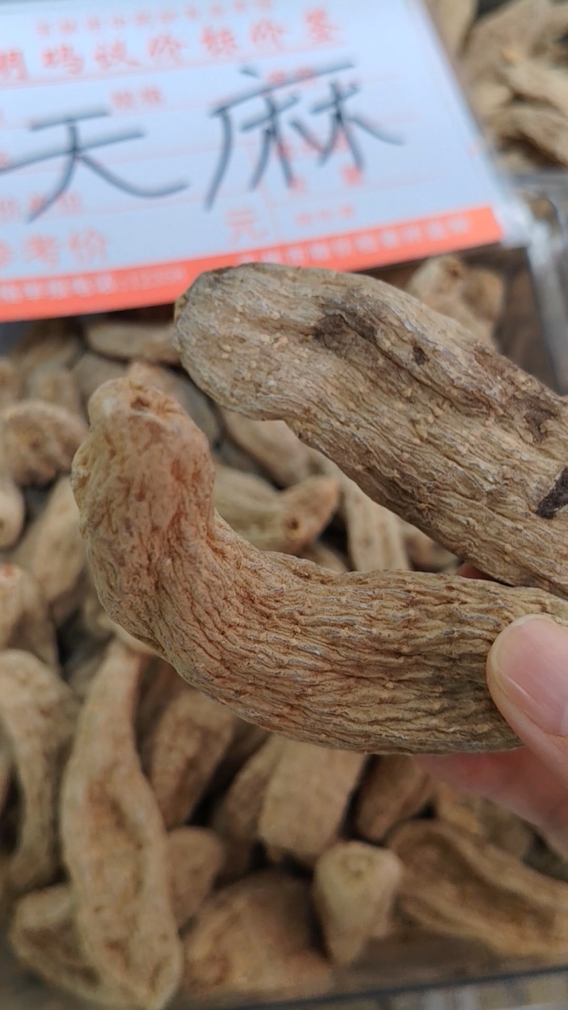 天麻大货价110元/斤