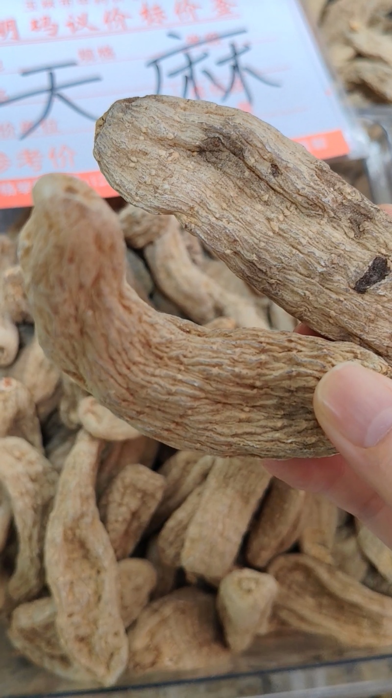 天麻大货价110元/斤