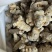 三七大货价90元/斤