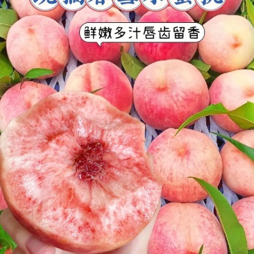湖北春雪桃基地一手货源对接电商市场商超可视频看货