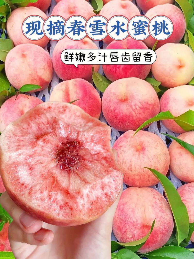 湖北春雪桃基地一手货源对接电商市场商超可视频看货
