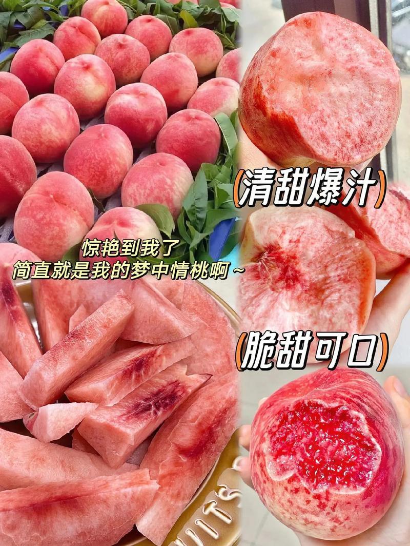 湖北春雪桃基地一手货源对接电商市场商超可视频看货