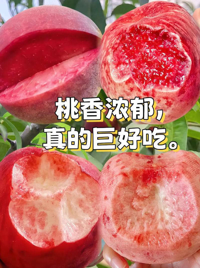 湖北春雪桃基地一手货源对接电商市场商超可视频看货