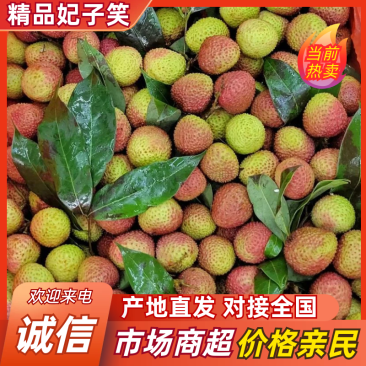 荔枝，大量现货，对接各大电商平台，一件代发，京东顺风专线