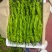 【精品辣椒】螺丝椒，视频看货-对接超市，市场批发，龙椒。