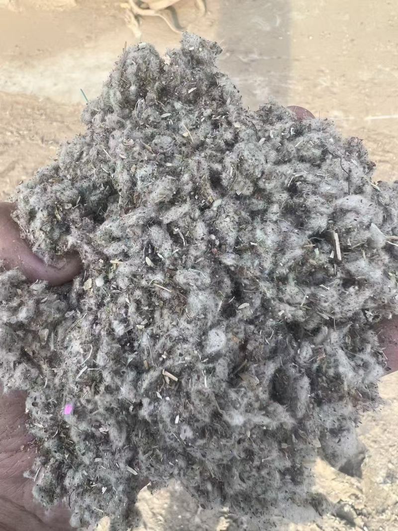 中上等棉渣，大量新鲜现货速发，货美价廉欢迎选购