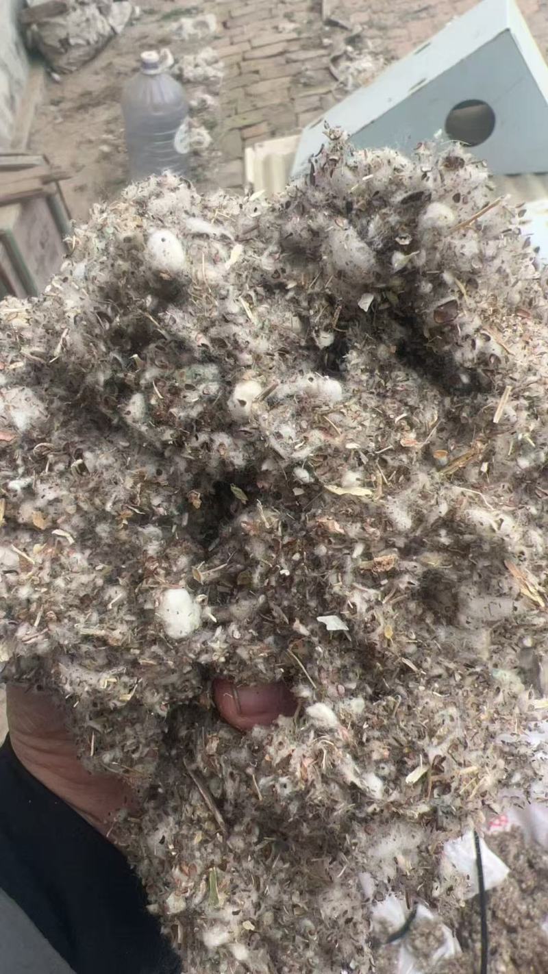 中上等棉渣，大量新鲜现货速发，货美价廉欢迎选购