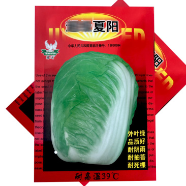 **夏阳白菜种子耐热38度特抗热白菜种子耐抽苔上市早