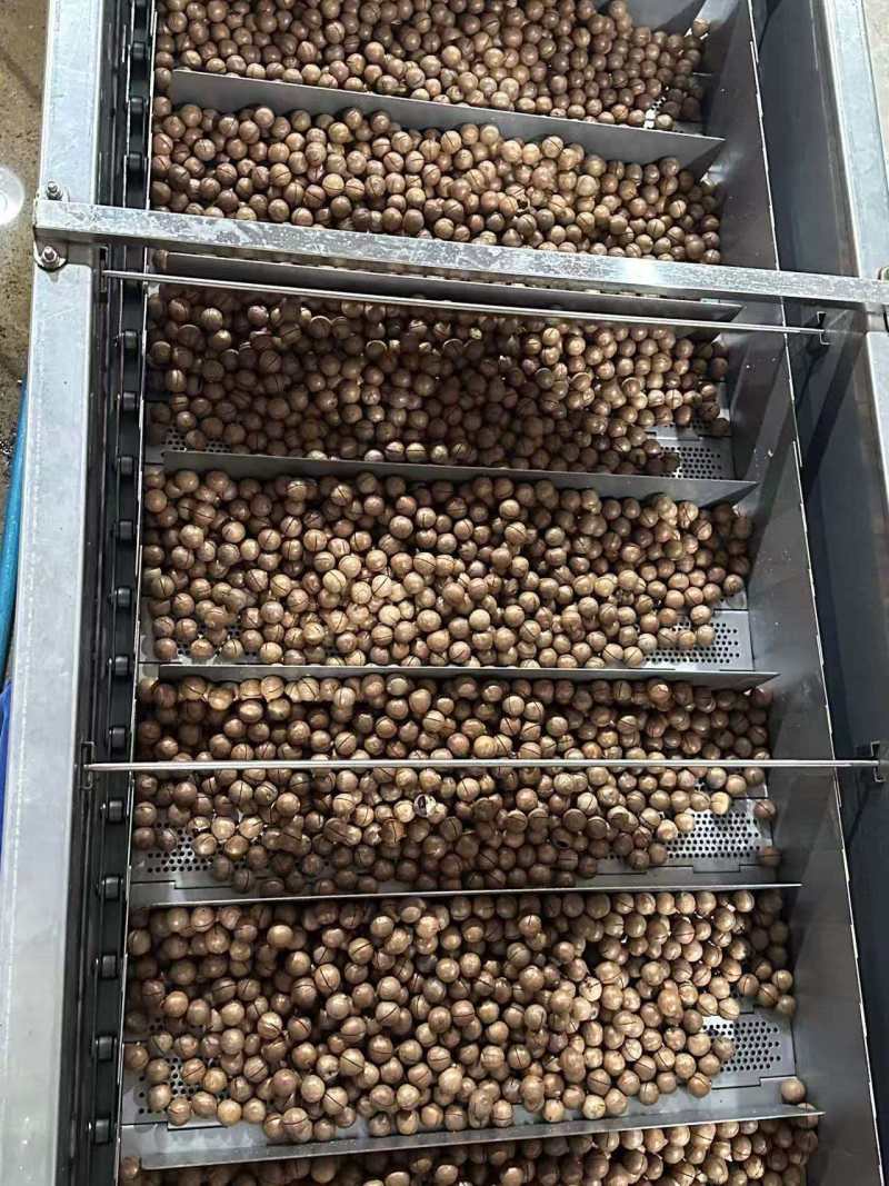 【推荐】夏威夷果云南产地工厂直批可视频看货全国发货